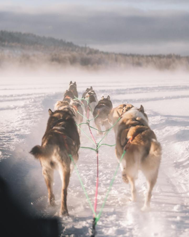 Nova Galaxy Village Rovaniemi Luaran gambar