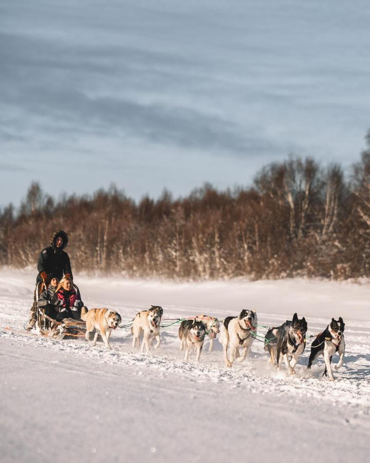 Nova Galaxy Village Rovaniemi Luaran gambar