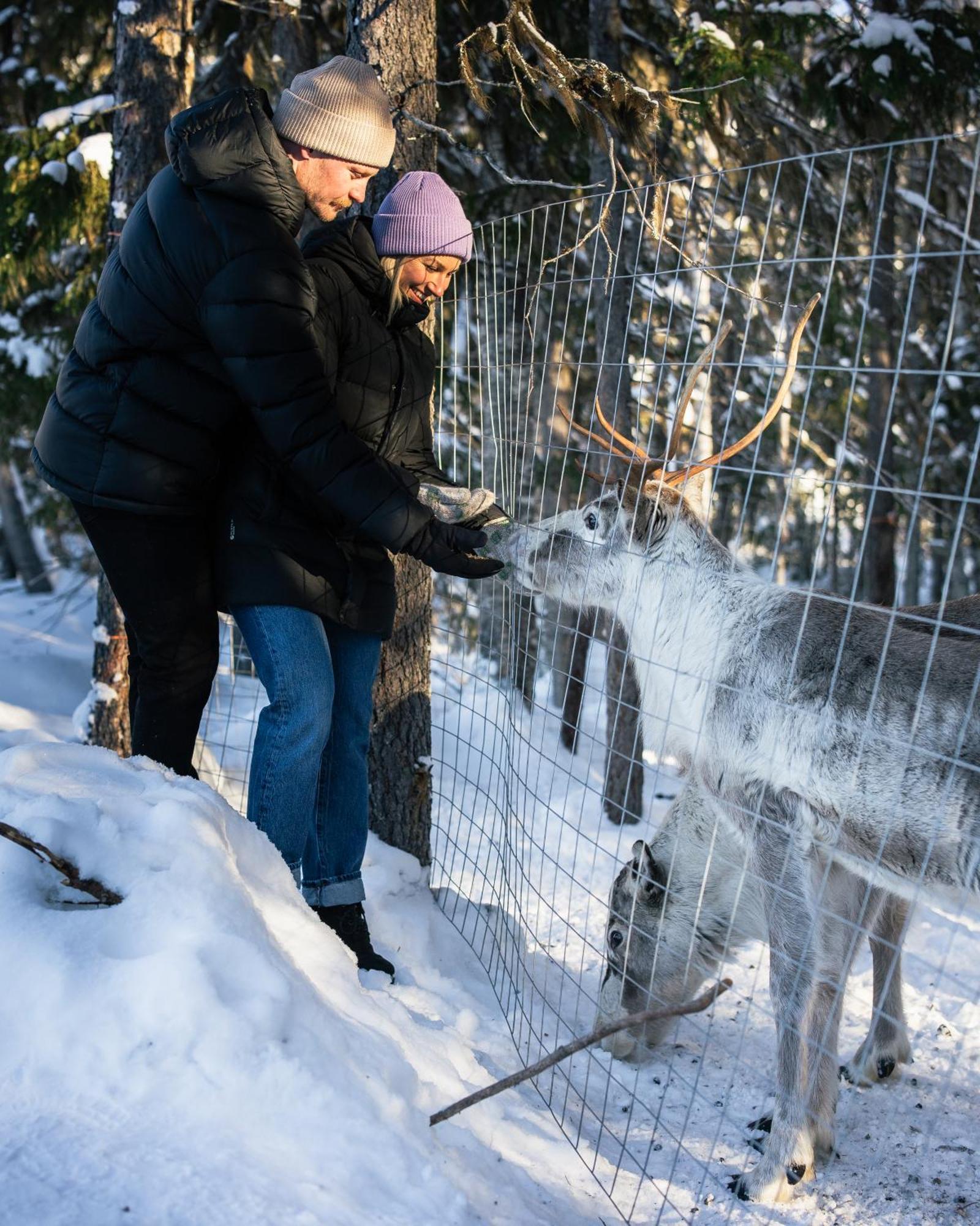 Nova Galaxy Village Rovaniemi Luaran gambar