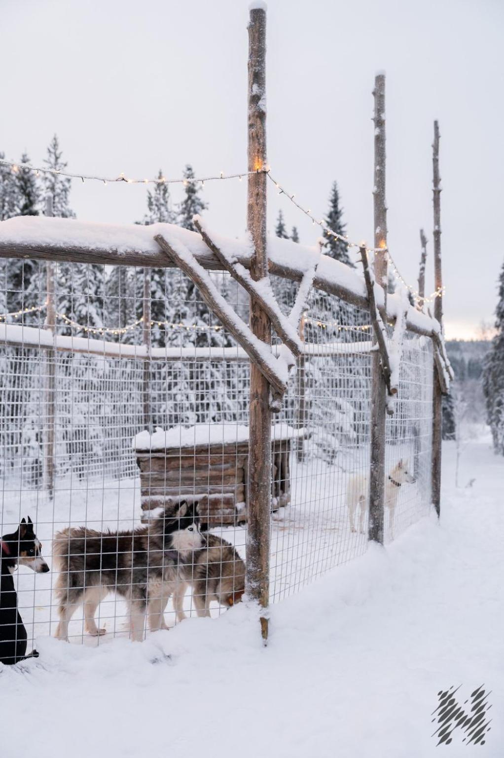 Nova Galaxy Village Rovaniemi Luaran gambar